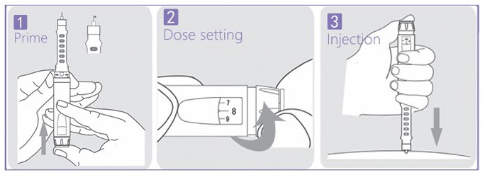 DS02 patient workflow — prime, set dose, inject, and store for reuse
